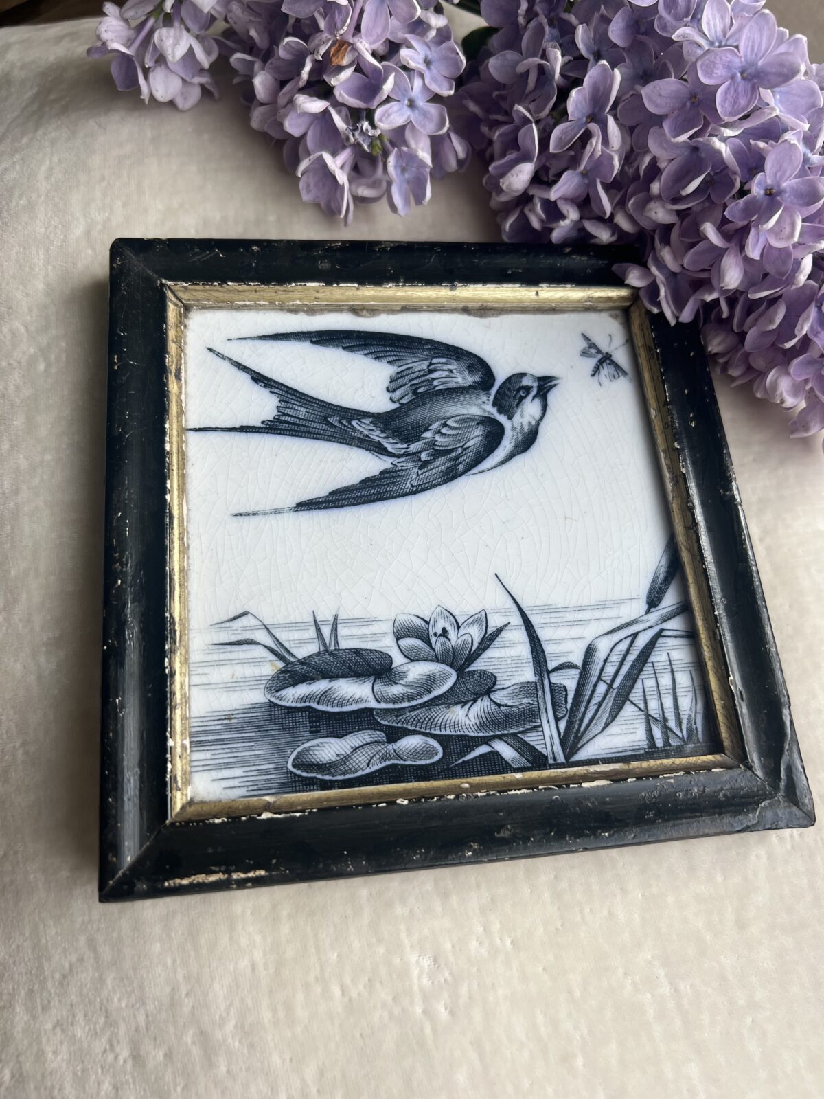 Antique “Lily” plate by B & S H (Baker and Spall) in an old frame circa 1835